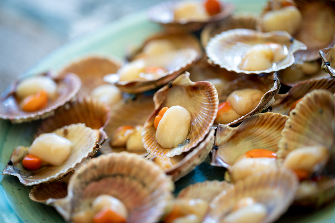 Ristorante pesce a Pordenone capesante fresche